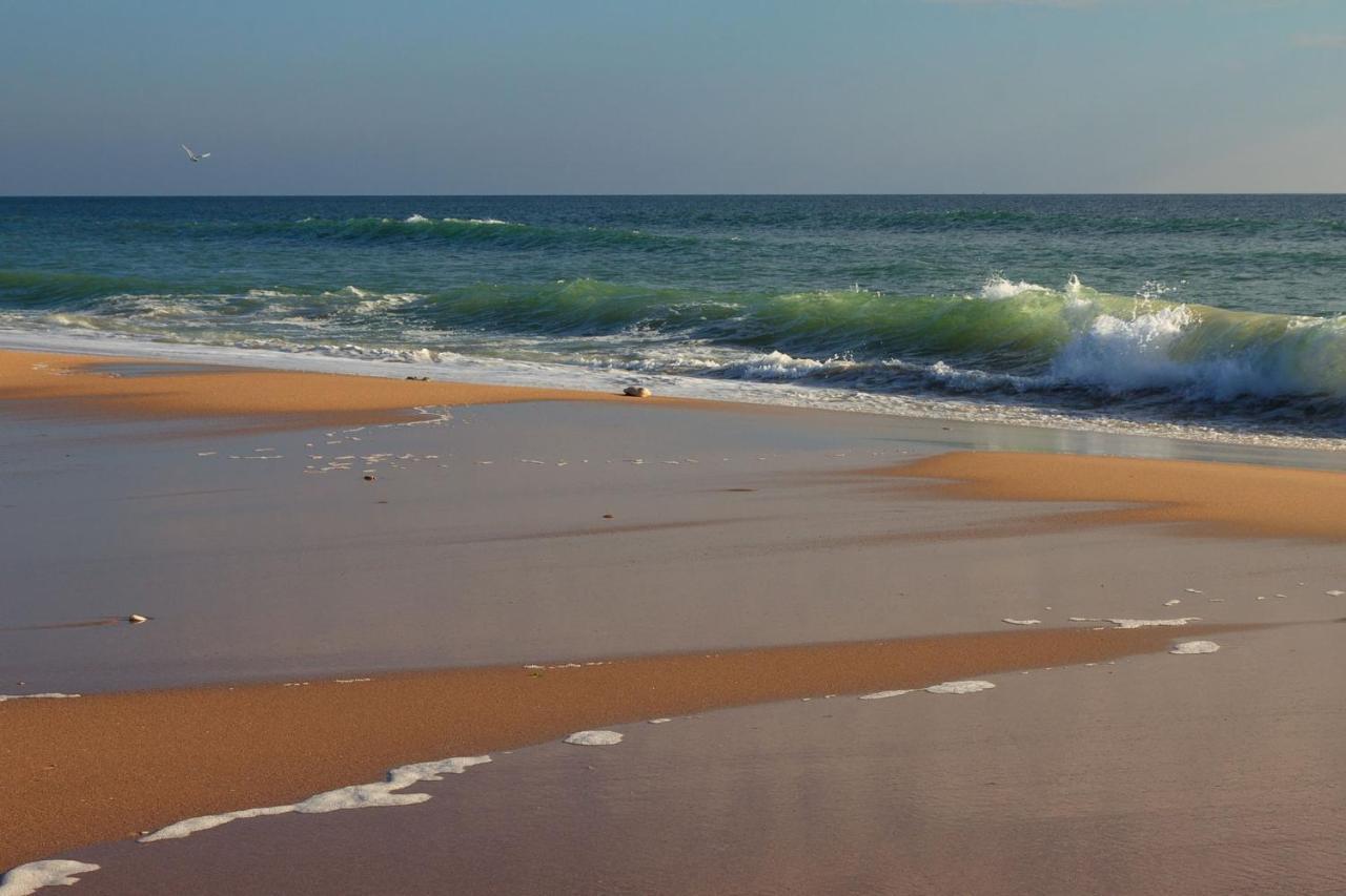 La Rose Allass Grand-Village-Plage 외부 사진